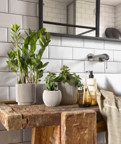 Capi Europe - Set Van 4 - Bloempot Binnen - Groove - - Ivoor - Bloempot Voor Binnen - BOX-BGVI-4 5 Capi Europe - Set Van 4 - Bloempot Binnen - Groove - - Ivoor - Bloempot Voor Binnen - BOX-BGVI-4 -Tuin En Buiten 1005x1200