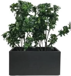 Elho Vivo Matt Finish Lang Wielen 90 - Grote Staande Plantenbak Voor Binnen & Buiten - Gemaakt Van Gereycled Plastic - L 39 X W 88 X H 41 Cm - Zwart -Tuin En Buiten 1124x1200 1