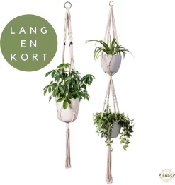 Plantenhanger Macrame Set Van 2 - Plantenhanger Met Ruimte Voor 3 Potten - Luxe Gevlochten Touw 100% Katoen - Duurzaam - Plantenbakken - Bloempotten - Macramé Stijl Hanger Voor Bloempotten - Hangpot - Fienosa 8 Plantenhanger Macrame Set Van 2 - Plantenhanger Met Ruimte Voor 3 Potten - Luxe Gevlochten Touw 100% Katoen - Duurzaam - Plantenbakken - Bloempotten - Macramé Stijl Hanger Voor Bloempotten - Hangpot - Fienosa -Tuin En Buiten 1131x1200
