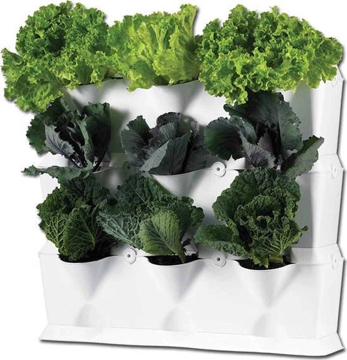 Minigarden Vertical Verticale Tuin - Wit 6 Minigarden Vertical Verticale Tuin - Wit - Afbeelding 6