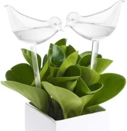 Luxe Planten Waterdruppelaar - Waterbol Vogel - Watergever - Watergeefsysteem Voor Planten & Bloemen - 200ML - Set Van 2 -Tuin En Buiten 1160x1200