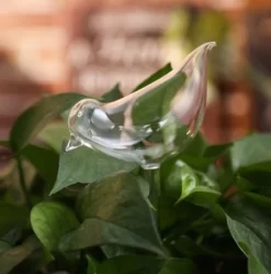 Waterdruppelaar Planten - Vorm Vogel - Set Van 3 Kunststof Druppelaars - 25cm Lengte - Genoeg Water Tijdens Je Vakantie 5 Waterdruppelaar Planten - Vorm Vogel - Set Van 3 Kunststof Druppelaars - 25cm Lengte - Genoeg Water Tijdens Je Vakantie -Tuin En Buiten 1190x1200