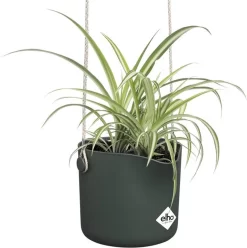 Elho B.for Swing 18 Hangpot - Bloempot Voor Binnen - Ø 18.0 X H 16.5 Cm - Groen/Blad Groen -Tuin En Buiten 1193x1200 4