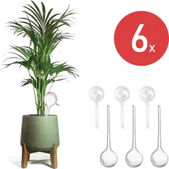 Merkloos JADI - Druppelsysteem - Waterdruppelaar Voor Uw Planten - Set Van 6 Stuks - 3 Grote & 3 Kleine - Transparante Waterbollen