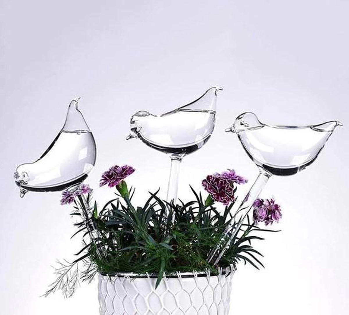 Waterdruppelaar Planten - Vorm Vogel - Set Van 3 Kunststof Druppelaars - 25cm Lengte - Genoeg Water Tijdens Je Vakantie 2 Waterdruppelaar Planten - Vorm Vogel - Set Van 3 Kunststof Druppelaars - 25cm Lengte - Genoeg Water Tijdens Je Vakantie - Afbeelding 2