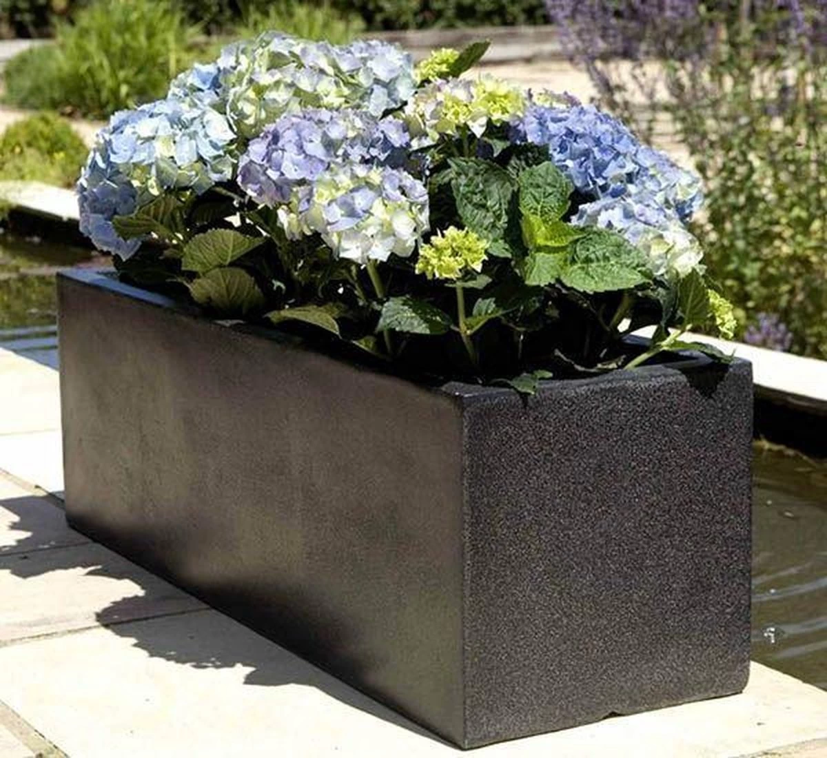 Capi Europe - Bloembak Rechthoek Laag 73x20x20 - Zwart - Bloempot Voor Buiten - FIT961 2 Capi Europe - Bloembak Rechthoek Laag 73x20x20 - Zwart - Bloempot Voor Buiten - FIT961 - Afbeelding 2