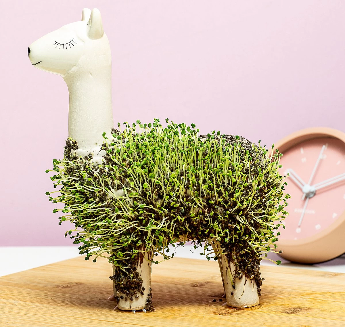 Gift Republic Lama Bloempot Met Zaadjes 4 Gift Republic Lama Bloempot Met Zaadjes - Afbeelding 4