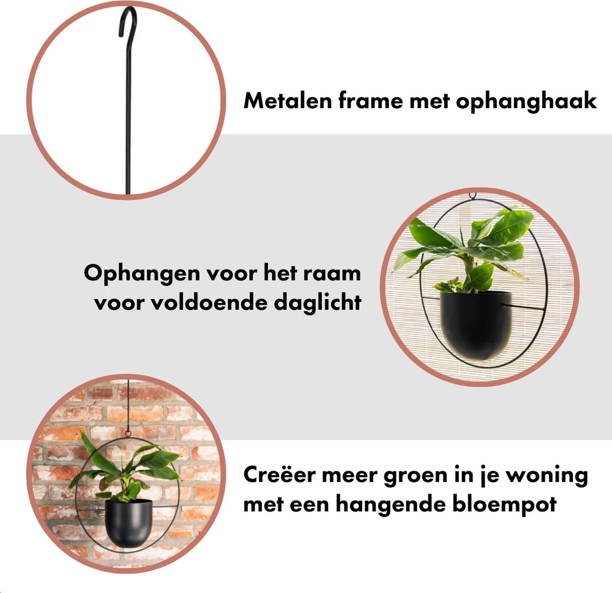 QUVIO Bloempot Hangend / Bloempotten Voor Binnen / Bloempotten / Bloempot Binnen / Bloempot Met Ophanghaak - Metaal 6 QUVIO Bloempot Hangend / Bloempotten Voor Binnen / Bloempotten / Bloempot Binnen / Bloempot Met Ophanghaak - Metaal - Afbeelding 6
