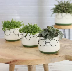 2x Bloempot Met Gezicht - Ø8 X H6,5 Cm - Bloempotten Voor Binnen Met Bril/Face/Hoofd 9 2x Bloempot Met Gezicht - Ø8 X H6,5 Cm - Bloempotten Voor Binnen Met Bril/Face/Hoofd -Tuin En Buiten 1200x1178