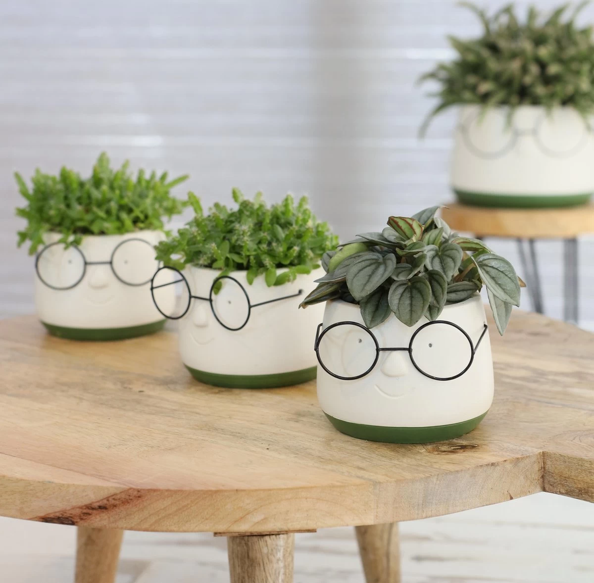 2x Bloempot Met Gezicht - Ø8 X H6,5 Cm - Bloempotten Voor Binnen Met Bril/Face/Hoofd 3 2x Bloempot Met Gezicht - Ø8 X H6,5 Cm - Bloempotten Voor Binnen Met Bril/Face/Hoofd - Afbeelding 3