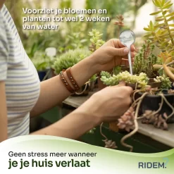 Waterdruppelaar Voor Planten - Irrigatiesysteem- Waterbol - Druppelsysteem - Watergeefsysteem Voor Kamerplanten - Plantenwatergever -6 Stuks - Transparant 10 Waterdruppelaar Voor Planten - Irrigatiesysteem- Waterbol - Druppelsysteem - Watergeefsysteem Voor Kamerplanten - Plantenwatergever -6 Stuks - Transparant -Tuin En Buiten 1200x1198 3