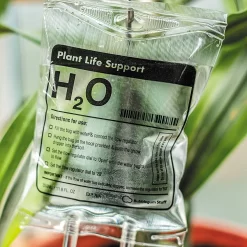Woonaccessoires- Automatisch Watergeef Systeem | Plantenwaterer - Life Support Irrigatieapparaat | Druppelaar Kamerplanten - | Planten Watergever Met Druppelsysteem 350ml 18 Woonaccessoires- Automatisch Watergeef Systeem | Plantenwaterer - Life Support Irrigatieapparaat | Druppelaar Kamerplanten - | Planten Watergever Met Druppelsysteem 350ml -Tuin En Buiten 1200x1200 10