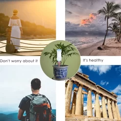 BOTC Waterdruppelaar Set Van 6 Stuks Voor Planten - Watergeefsysteem 16 BOTC Waterdruppelaar Set Van 6 Stuks Voor Planten - Watergeefsysteem -Tuin En Buiten 1200x1200 112