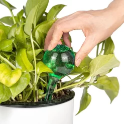 Merkloos Decopatent® 4 Stuks - Waterdruppelaar Voor Planten - Watergever - Glas - Waterbollen - Watergeefsysteem - Plantenbollen - Groen 19 Merkloos Decopatent® 4 Stuks - Waterdruppelaar Voor Planten - Watergever - Glas - Waterbollen - Watergeefsysteem - Plantenbollen - Groen -Tuin En Buiten 1200x1200 121