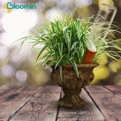 Bloomin Waterdruppelaar Van Terracotta - Waterdruppelaar Voor Planten - Druppelsysteem - Irrigatiesysteem - Watergeefsysteem - Bewateringssysteem - 8 Stuks -Tuin En Buiten 1200x1200 123