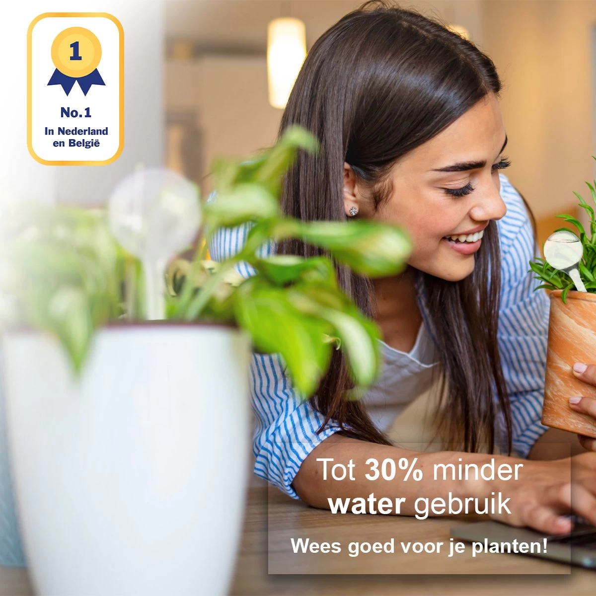 Waterdruppelaar Set Van 6 Stuks - Waterdruppelaar Voor Planten - Watergeefsysteem - Waterbol Irrigatiesysteem - Automatisch Druppelsysteem Voor Kamerplanten & Tuin - Watergever - Doorzichtig - 15cm 2 Waterdruppelaar Set Van 6 Stuks - Waterdruppelaar Voor Planten - Watergeefsysteem - Waterbol Irrigatiesysteem - Automatisch Druppelsysteem Voor Kamerplanten & Tuin - Watergever - Doorzichtig - 15cm - Afbeelding 2