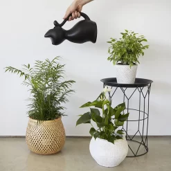 Balvi Meow! Kat Gieter - Zwart -Tuin En Buiten 1200x1200 299