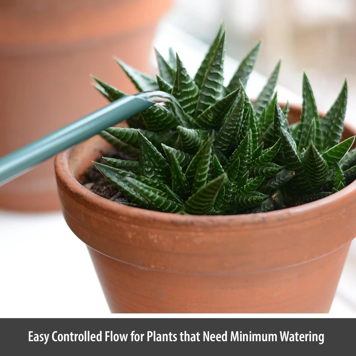 CKB LTD - Gieters - Gieter - Retro - Gietertje - Kleine Gieter Voor Binnen En Buiten - 1 Liter - Groen Plantengieter Tuingieter Bloemengieter Mini Klein Metaal Binnenplantjes Gietertjes Tuingieters Vintage Kamerplanten Buitengieter Binnenshuis 2 CKB LTD - Gieters - Gieter - Retro - Gietertje - Kleine Gieter Voor Binnen En Buiten - 1 Liter - Groen Plantengieter Tuingieter Bloemengieter Mini Klein Metaal Binnenplantjes Gietertjes Tuingieters Vintage Kamerplanten Buitengieter Binnenshuis - Afbeelding 2