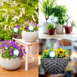 Druppelsysteem 12 Stuks Waterdruppelaar Voor Planten - Waterafgiftesysteem Voor 2 Weken - Beregening Voor Kamerplanten 13 Druppelsysteem 12 Stuks Waterdruppelaar Voor Planten - Waterafgiftesysteem Voor 2 Weken - Beregening Voor Kamerplanten -Tuin En Buiten 1200x1200 31