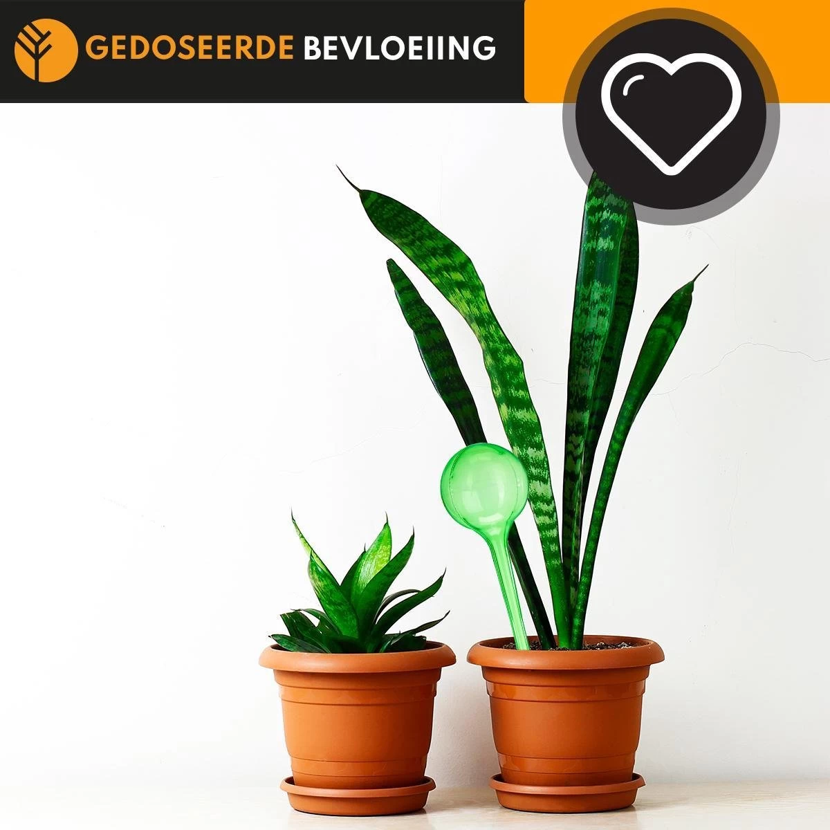 Waterdruppelaar Set Van 6 Stuks Voor Planten – 27 CM – Automatisch Watergeefsysteem Voor Kamerplanten – Planten Watergever Met Druppelsysteem – Waterbol 4 Waterdruppelaar Set Van 6 Stuks Voor Planten – 27 CM – Automatisch Watergeefsysteem Voor Kamerplanten – Planten Watergever Met Druppelsysteem – Waterbol - Afbeelding 4