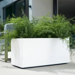 Elho Vivo Matt Finish Lang Wielen 90 - Grote Staande Plantenbak Voor Binnen & Buiten - Gemaakt Van Gereycled Plastic - L 39 X W 88 X H 41 Cm - Wit -Tuin En Buiten 1200x1200 388