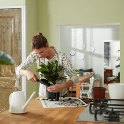 Elho Self-watering Insert 24 - Accessoires Voor Binnenaccessoires - Ø 23.7 X H 22.2 Cm - Zwart/Living Black -Tuin En Buiten 1200x1200 409