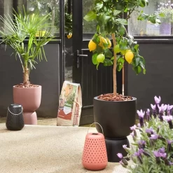 Elho Pure Coupe 35 - Bloempot Voor Binnen & Buiten - Ø 34.9 X H 49.0 Cm - Zwart/Zwart 30 Elho Pure Coupe 35 - Bloempot Voor Binnen & Buiten - Ø 34.9 X H 49.0 Cm - Zwart/Zwart -Tuin En Buiten 1200x1200 411