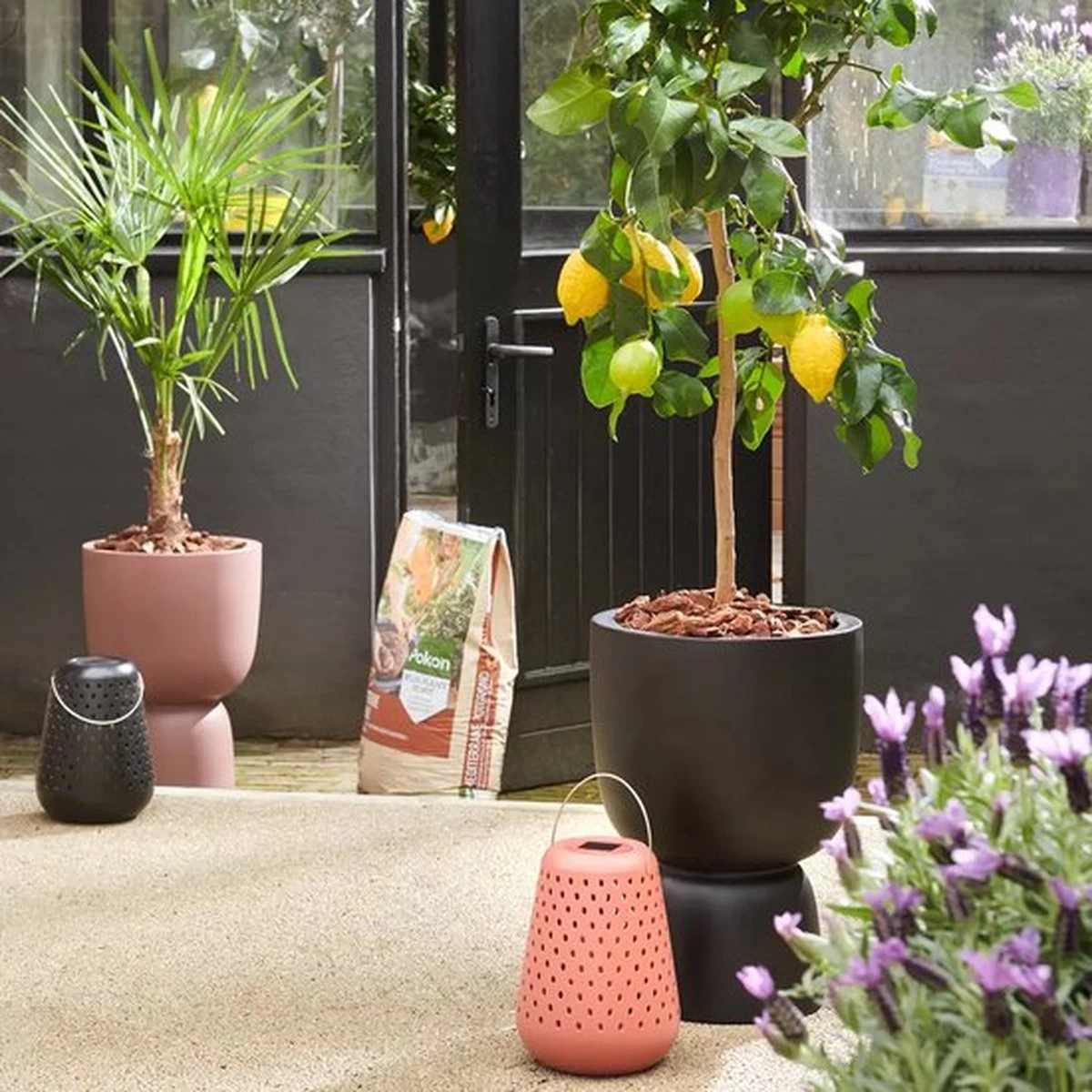 Elho Pure Coupe 35 - Bloempot Voor Binnen & Buiten - Ø 34.9 X H 49.0 Cm - Zwart/Zwart 11 Elho Pure Coupe 35 - Bloempot Voor Binnen & Buiten - Ø 34.9 X H 49.0 Cm - Zwart/Zwart - Afbeelding 11