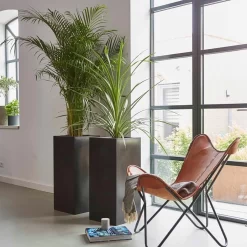 Capi Europe - Bloempot Rechthoek Smooth NL - 36x36x79 - Zwart - Voor Binnen En Buiten - KBL952 22 Capi Europe - Bloempot Rechthoek Smooth NL - 36x36x79 - Zwart - Voor Binnen En Buiten - KBL952 -Tuin En Buiten 1200x1200 413