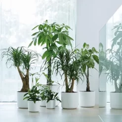 Elho B.for Soft Rond 30 - Bloempot Voor Binnen - Ø 29.5 X H 27.6 Cm - Wit -Tuin En Buiten 1200x1200 456