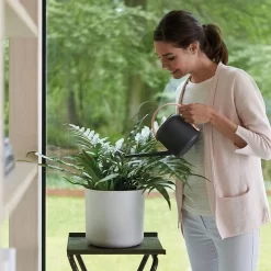 Elho B.for Soft Rond 30 - Bloempot Voor Binnen - Ø 29.5 X H 27.6 Cm - Wit -Tuin En Buiten 1200x1200 457