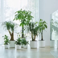 Elho B.for Soft Rond 30 - Bloempot Voor Binnen - Ø 29.5 X H 27.6 Cm - Wit -Tuin En Buiten 1200x1200 458