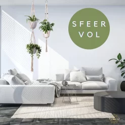 Plantenhanger Macrame Set Van 2 - Plantenhanger Met Ruimte Voor 3 Potten - Luxe Gevlochten Touw 100% Katoen - Duurzaam - Plantenbakken - Bloempotten - Macramé Stijl Hanger Voor Bloempotten - Hangpot - Fienosa 9 Plantenhanger Macrame Set Van 2 - Plantenhanger Met Ruimte Voor 3 Potten - Luxe Gevlochten Touw 100% Katoen - Duurzaam - Plantenbakken - Bloempotten - Macramé Stijl Hanger Voor Bloempotten - Hangpot - Fienosa -Tuin En Buiten 1200x1200 486