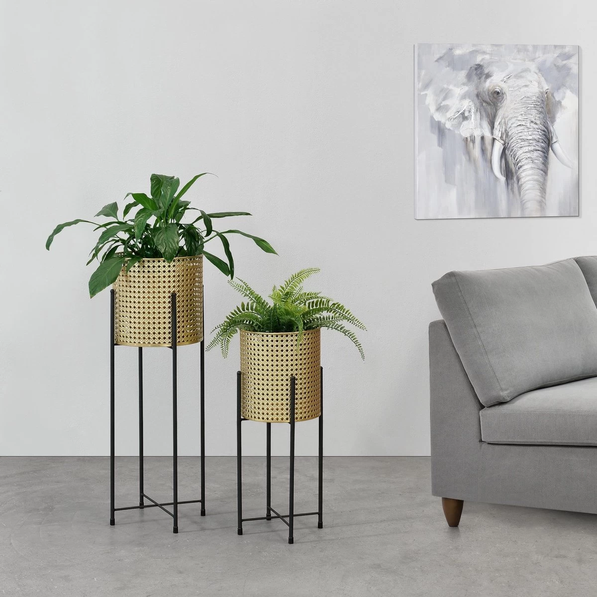 Bloempot Op Standaard Mol Set Van 2 Zwart En Goud 6 Bloempot Op Standaard Mol Set Van 2 Zwart En Goud - Afbeelding 6