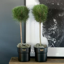 Riviera Maison Bloempot Voor Binnen Zwart - City Loft Flower Pot S -Tuin En Buiten 1200x1200 521