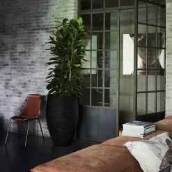 Capi Europe - Vaas Elegant Deluxe Rib NL - 45x72 - Zwart - Voor Binnen En Buiten - KBLR1138 16 Capi Europe - Vaas Elegant Deluxe Rib NL - 45x72 - Zwart - Voor Binnen En Buiten - KBLR1138 -Tuin En Buiten 1200x1200 529