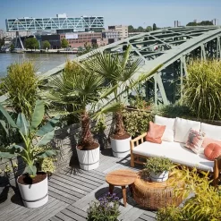 Elho Greenville Rond 30 - Grote Bloempot Voor Buiten - Gemaakt Van Gereycled Plastic - Ø 29.5 X H 27.8 Cm - Living Black 17 Elho Greenville Rond 30 - Grote Bloempot Voor Buiten - Gemaakt Van Gereycled Plastic - Ø 29.5 X H 27.8 Cm - Living Black -Tuin En Buiten 1200x1200 549