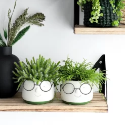 2x Bloempot Met Gezicht - Ø8 X H6,5 Cm - Bloempotten Voor Binnen Met Bril/Face/Hoofd 13 2x Bloempot Met Gezicht - Ø8 X H6,5 Cm - Bloempotten Voor Binnen Met Bril/Face/Hoofd -Tuin En Buiten 1200x1200 569