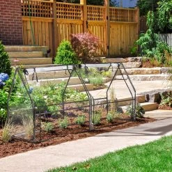 Relaxdays Kweekkas Pvc Met 2 Deuren - Lage Foliekas - Kleine Tuinkas - Plantenkas Tuin 12 Relaxdays Kweekkas Pvc Met 2 Deuren - Lage Foliekas - Kleine Tuinkas - Plantenkas Tuin -Tuin En Buiten 1200x1200 698