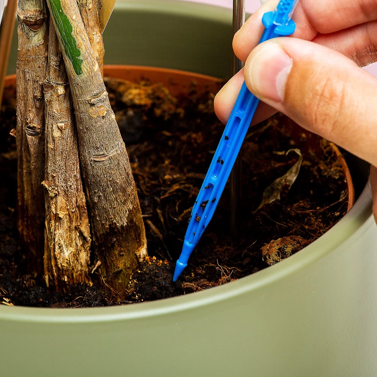 Woonaccessoires- Automatisch Watergeef Systeem | Plantenwaterer - Life Support Irrigatieapparaat | Druppelaar Kamerplanten - | Planten Watergever Met Druppelsysteem 350ml 5 Woonaccessoires- Automatisch Watergeef Systeem | Plantenwaterer - Life Support Irrigatieapparaat | Druppelaar Kamerplanten - | Planten Watergever Met Druppelsysteem 350ml - Afbeelding 5