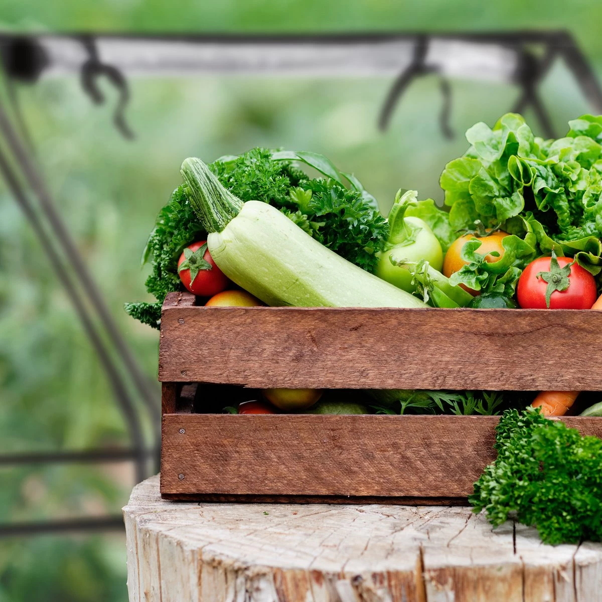 Relaxdays Kweekkas Pvc Met 2 Deuren - Lage Foliekas - Kleine Tuinkas - Plantenkas Tuin 6 Relaxdays Kweekkas Pvc Met 2 Deuren - Lage Foliekas - Kleine Tuinkas - Plantenkas Tuin - Afbeelding 6