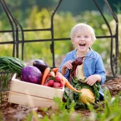 Relaxdays Kweekkas Pvc Met 2 Deuren - Lage Foliekas - Kleine Tuinkas - Plantenkas Tuin 15 Relaxdays Kweekkas Pvc Met 2 Deuren - Lage Foliekas - Kleine Tuinkas - Plantenkas Tuin -Tuin En Buiten 1200x1200 701