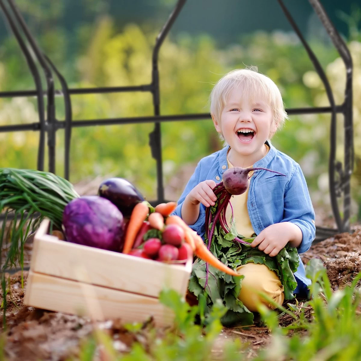 Relaxdays Kweekkas Pvc Met 2 Deuren - Lage Foliekas - Kleine Tuinkas - Plantenkas Tuin 7 Relaxdays Kweekkas Pvc Met 2 Deuren - Lage Foliekas - Kleine Tuinkas - Plantenkas Tuin - Afbeelding 7
