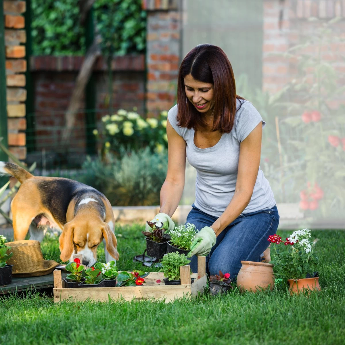 Relaxdays Tomatenkas XL - Met Schuin Dak - Kweekkas Voor Tomaten - Plastic Serre 8 Relaxdays Tomatenkas XL - Met Schuin Dak - Kweekkas Voor Tomaten - Plastic Serre - Afbeelding 8