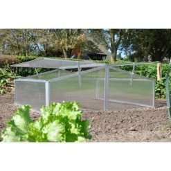 Royal Well Broeikas Silver Thyme -Tuin En Buiten 1200x1200 744