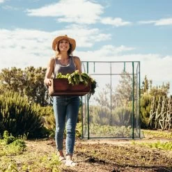 Relaxdays Tomatenkas 170 X 130 X 75 Cm - Folie Tuinkas - Grote Tomaten Kweekkas - Foliekas 15 Relaxdays Tomatenkas 170 X 130 X 75 Cm - Folie Tuinkas - Grote Tomaten Kweekkas - Foliekas -Tuin En Buiten 1200x1200 770