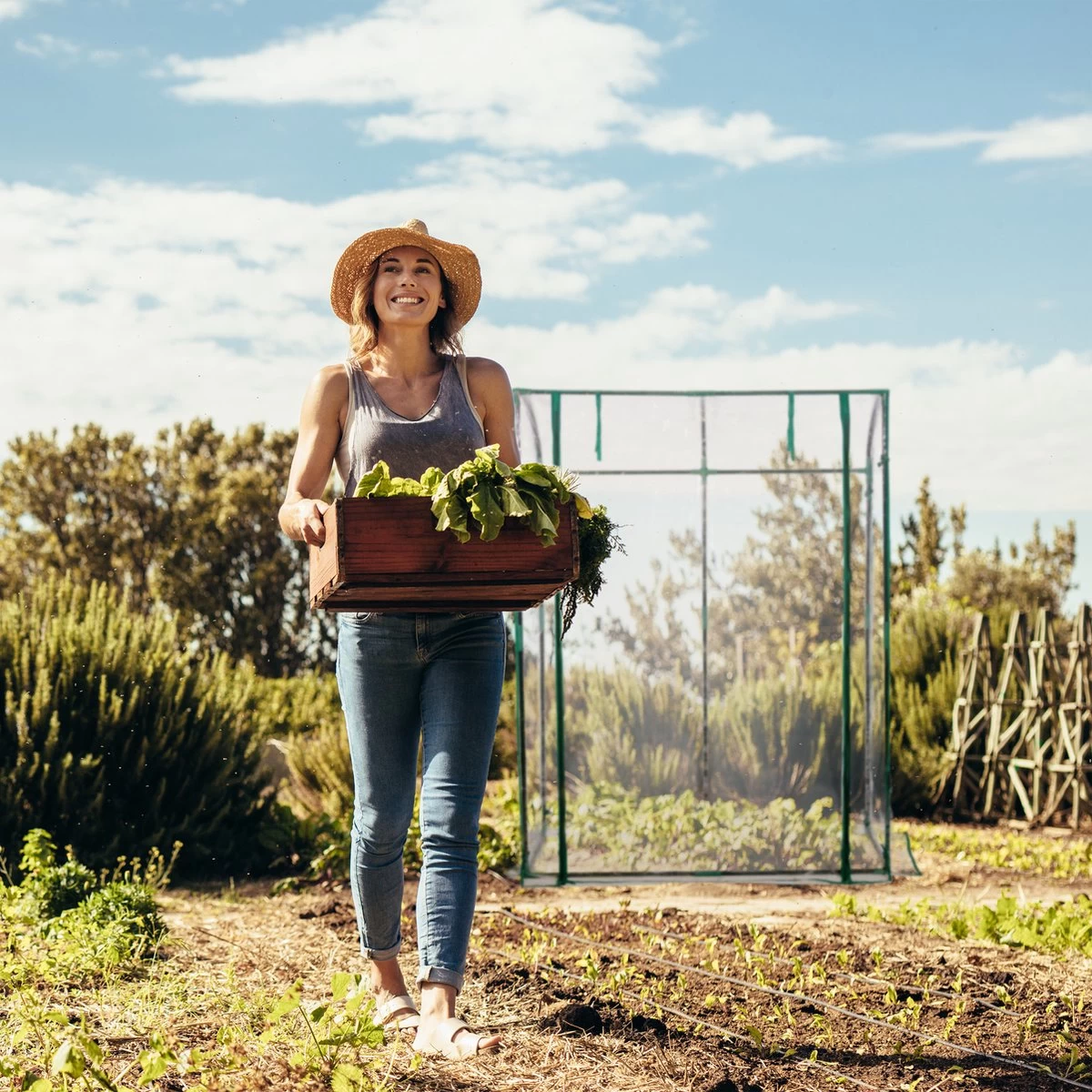Relaxdays Tomatenkas 170 X 130 X 75 Cm - Folie Tuinkas - Grote Tomaten Kweekkas - Foliekas 7 Relaxdays Tomatenkas 170 X 130 X 75 Cm - Folie Tuinkas - Grote Tomaten Kweekkas - Foliekas - Afbeelding 7