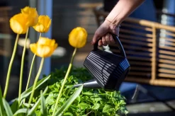 Xala - Gieter Doppio Groove 2L Zwart 5 Xala - Gieter Doppio Groove 2L Zwart -Tuin En Buiten 1200x799 11