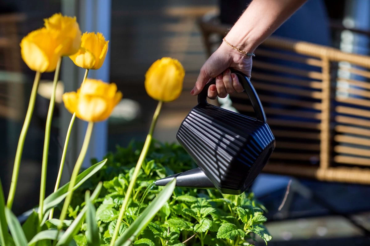 Xala - Gieter Doppio Groove 2L Olijfgrijs 3 Xala - Gieter Doppio Groove 2L Olijfgrijs - Afbeelding 3