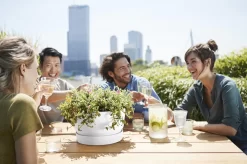 Elho Greenville Schaal 33 - Bloempot Voor Buiten - Ø 32.5 X H 19.4 Cm - Groen/Blad Groen 11 Elho Greenville Schaal 33 - Bloempot Voor Buiten - Ø 32.5 X H 19.4 Cm - Groen/Blad Groen -Tuin En Buiten 1200x799 18